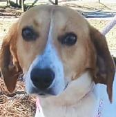 Heidi
